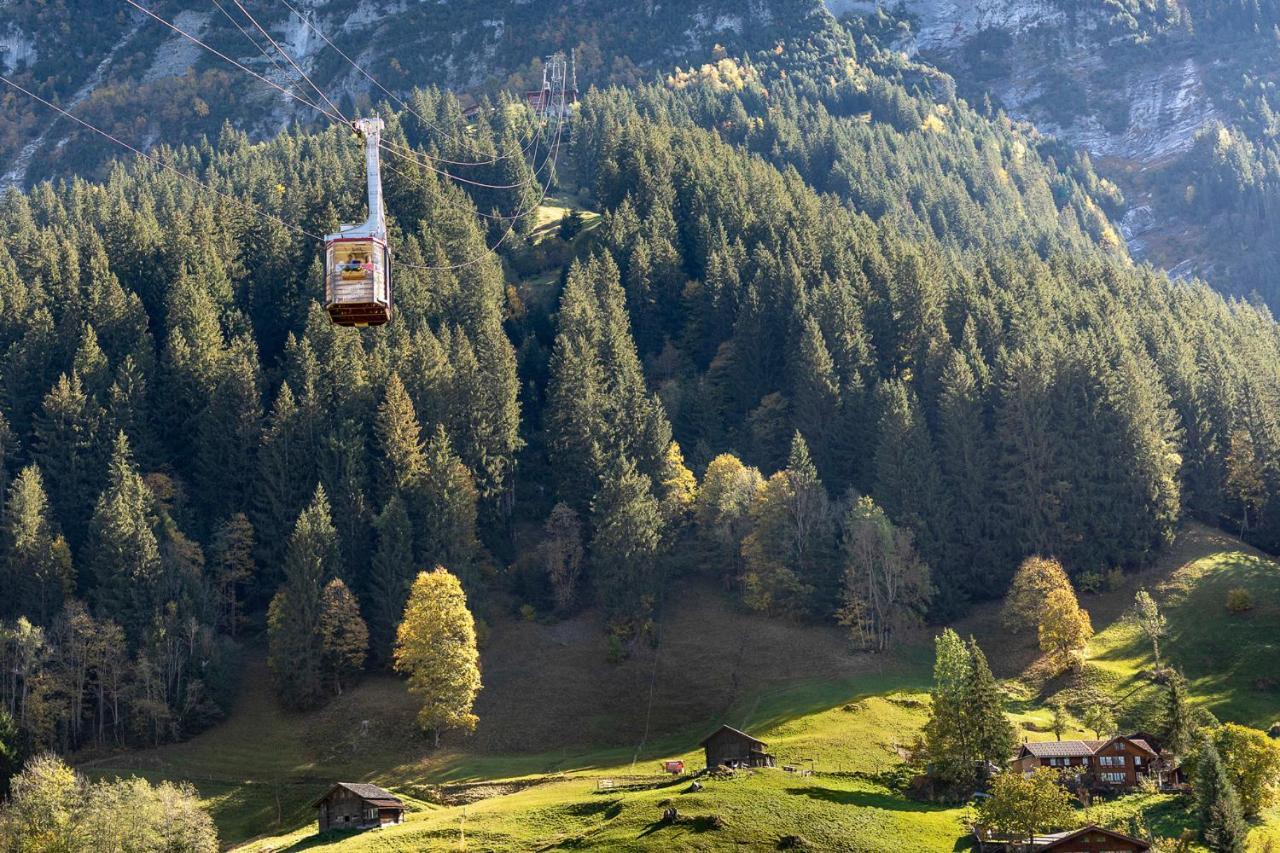 Chalet Waeschhuesli Near Interlaken, Grindelwald And Lauterbrunnen غستيغفيلر المظهر الخارجي الصورة