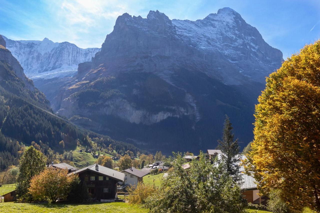 Chalet Waeschhuesli Near Interlaken, Grindelwald And Lauterbrunnen غستيغفيلر المظهر الخارجي الصورة
