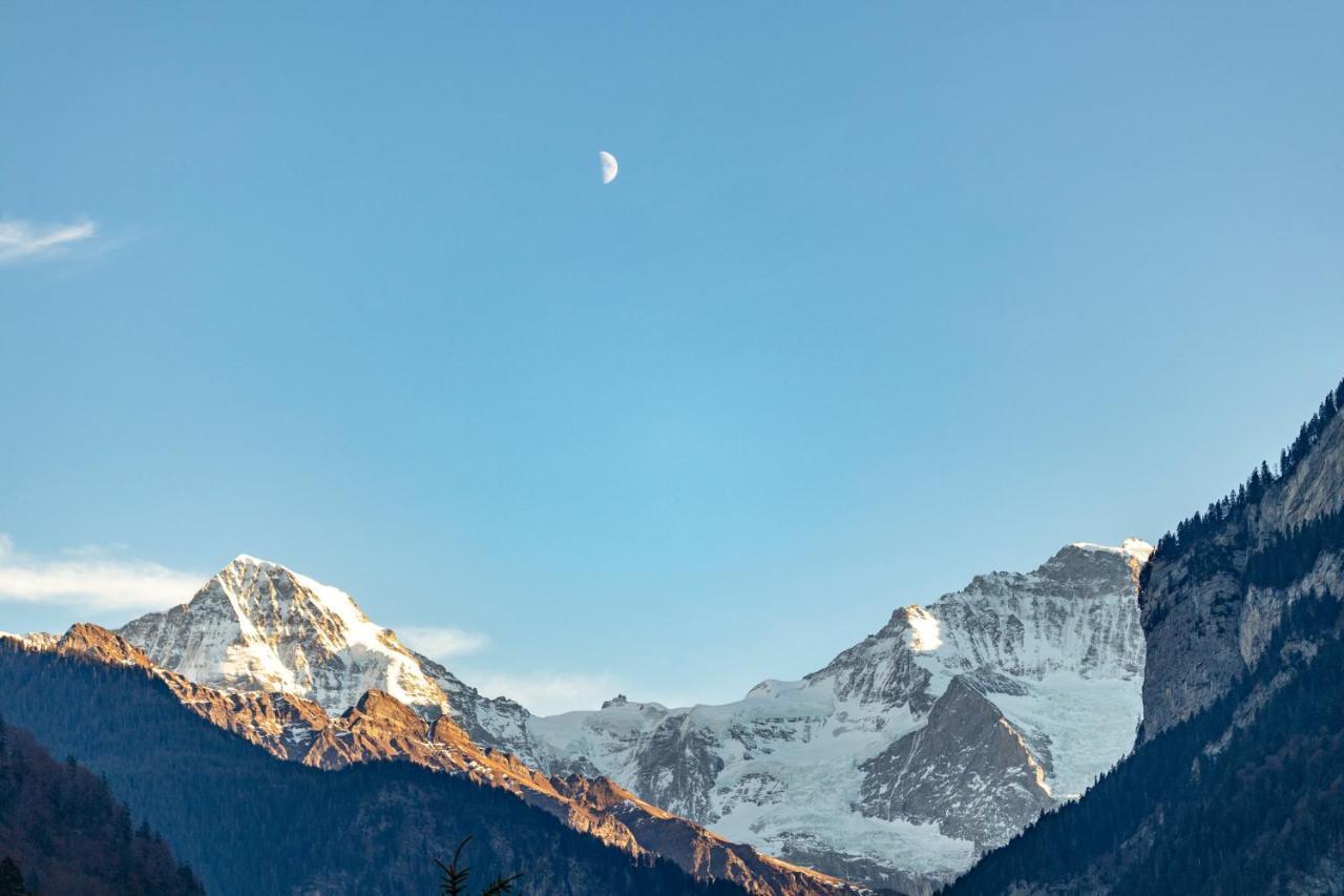 Chalet Waeschhuesli Near Interlaken, Grindelwald And Lauterbrunnen غستيغفيلر المظهر الخارجي الصورة